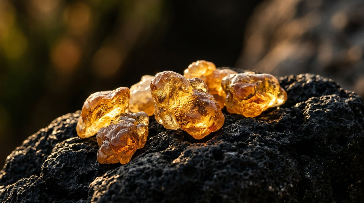 Elemi Resin