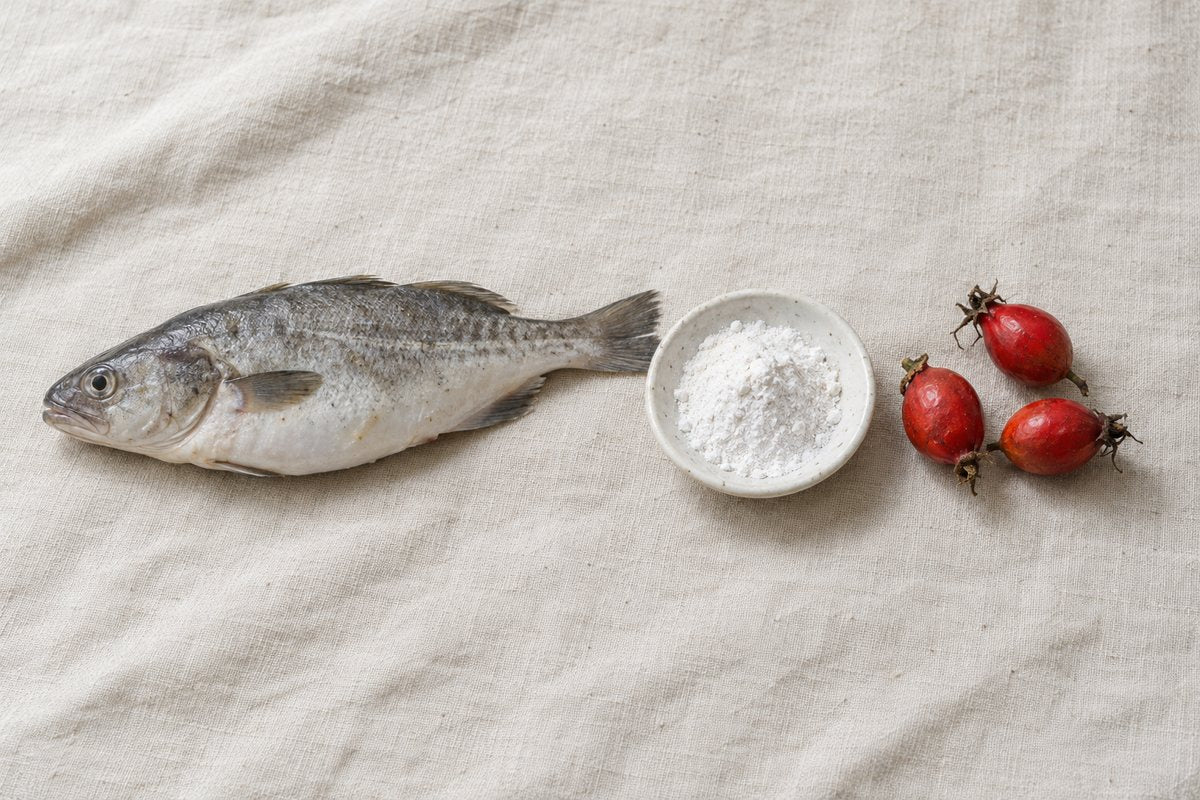 Marine Collagen vs Bovine Collagen: Which Should You Take? | Hermetica