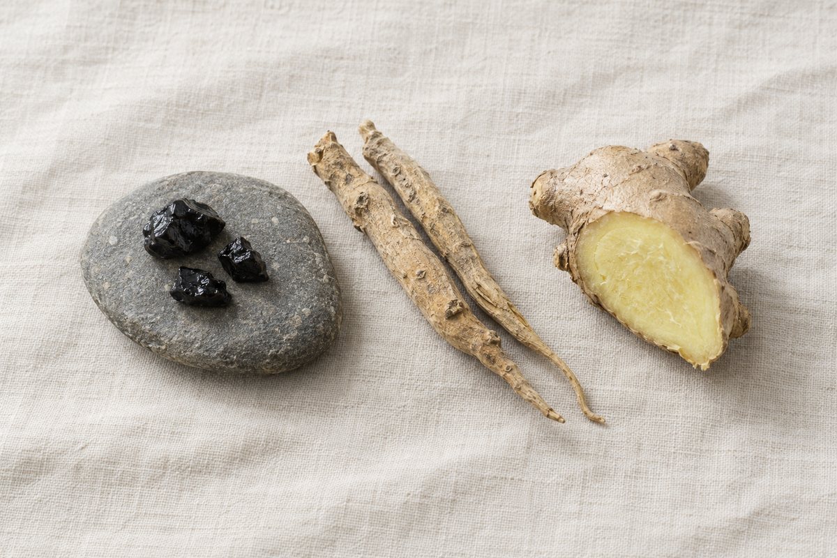 Shilajit vs Ashwagandha: Which Should You Take? | Hermetica
