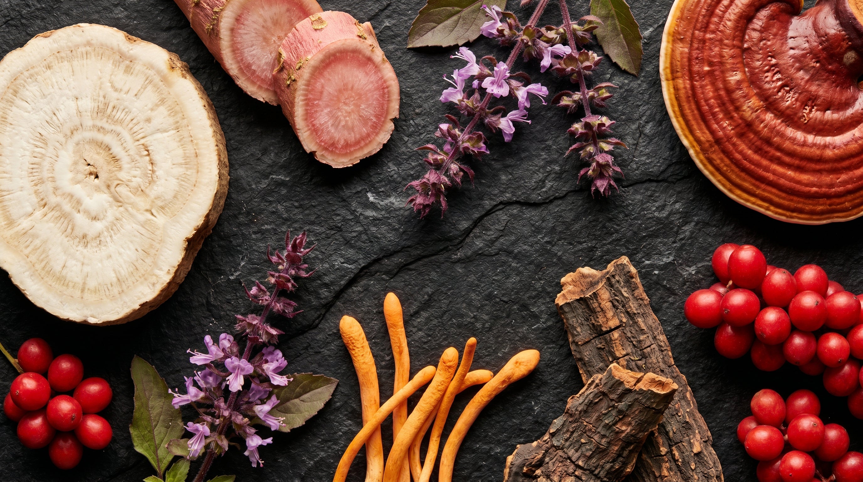 Adaptogens Guide