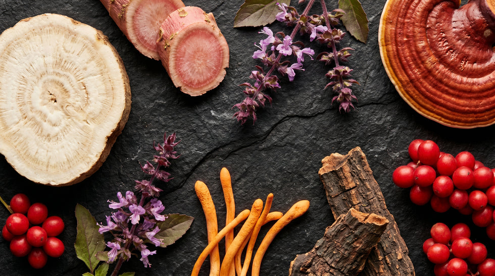 Adaptogens Guide