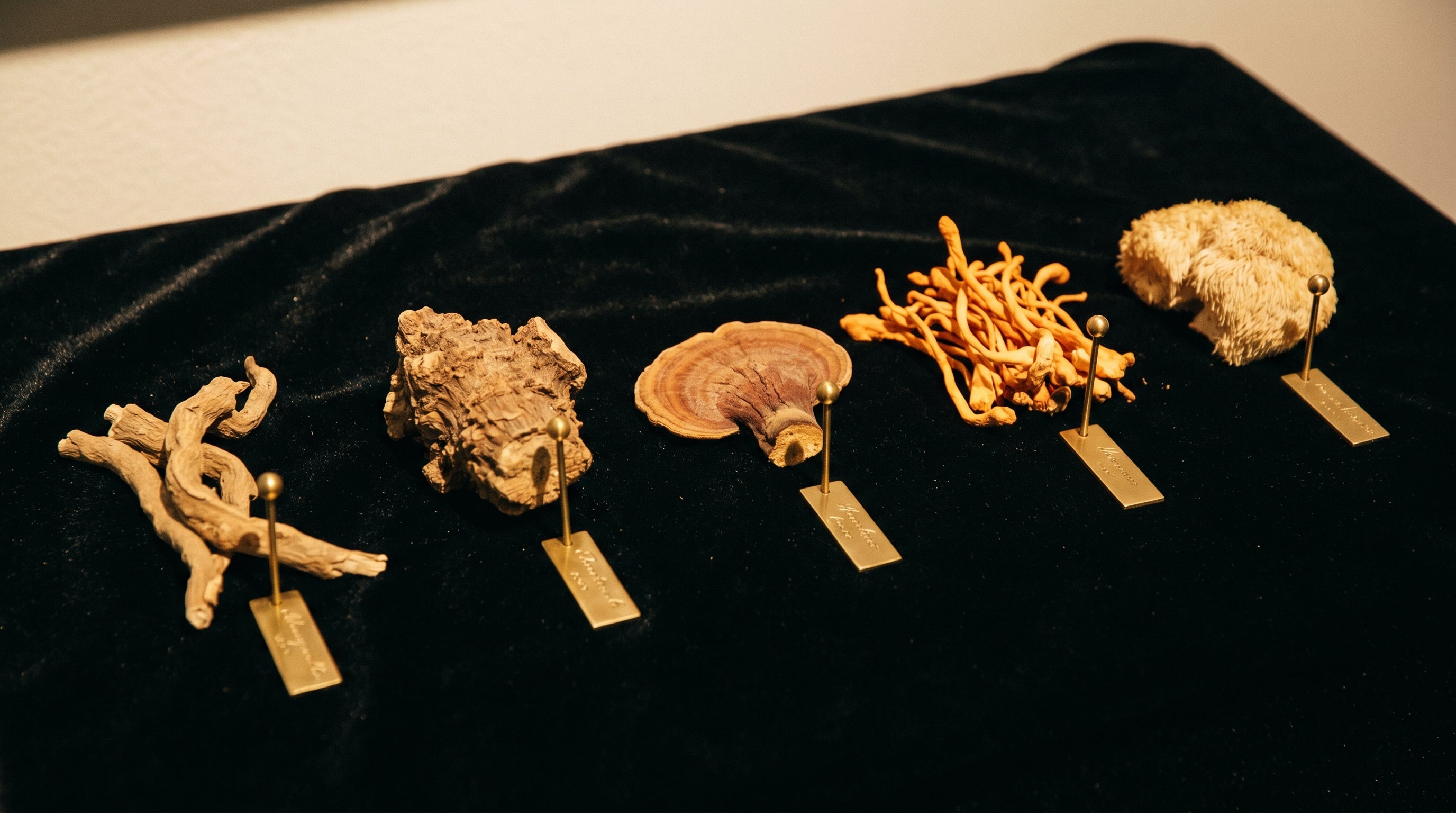 Best Adaptogens 2025