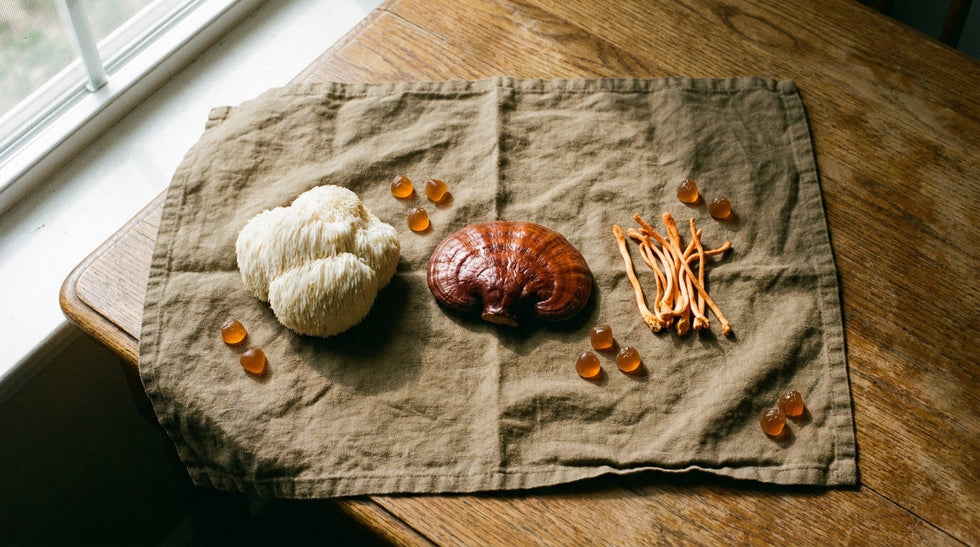 Lion's Mane, Reishi, and Cordyceps mushrooms compared side by side with amber gummies on linen