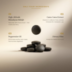 Meru Shilajit Tablets