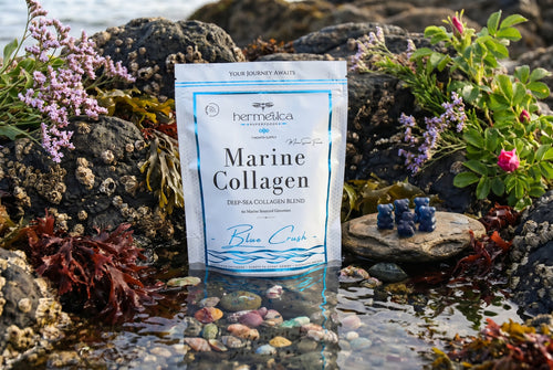Blue Crush Marine Collagen Gummies