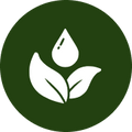Pure & Potent Ingredients
