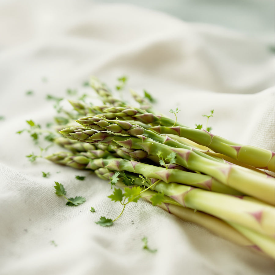 Asparagus Root
