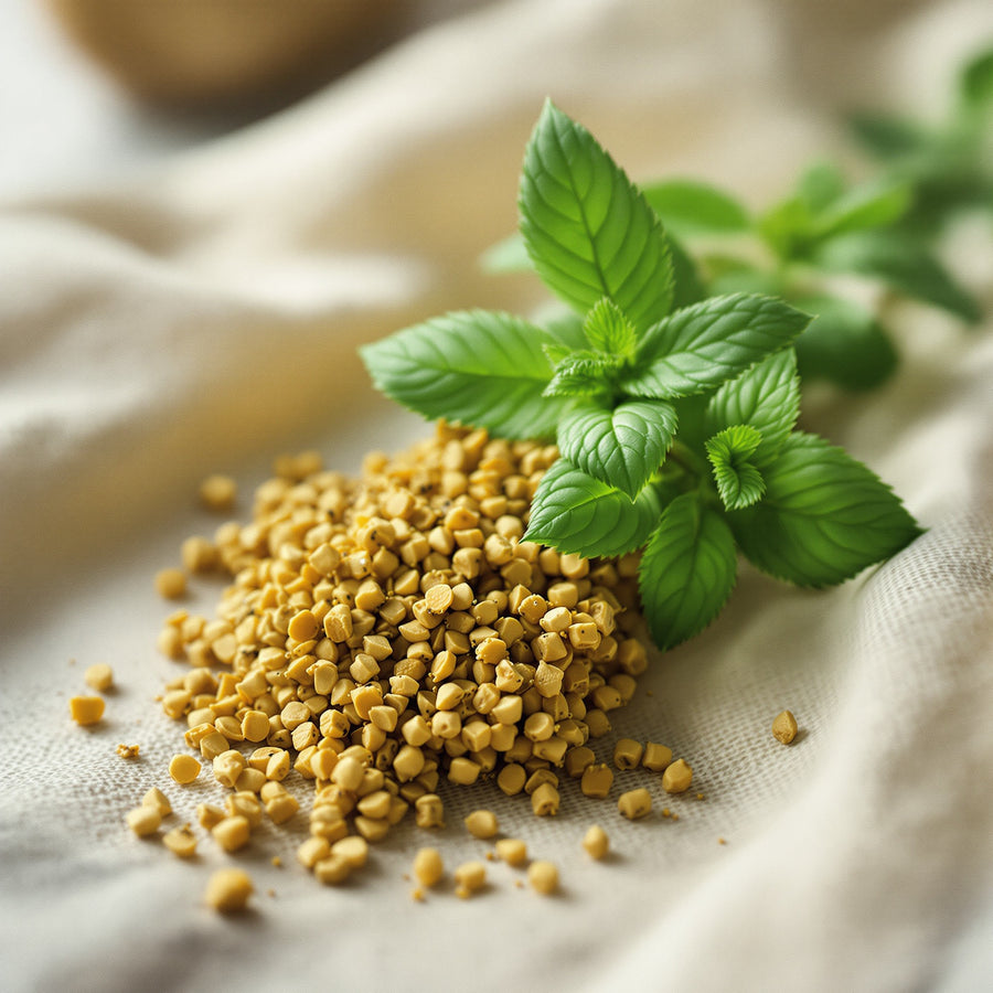 Lemon Balm