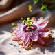 Passionflower