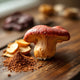 Reishi