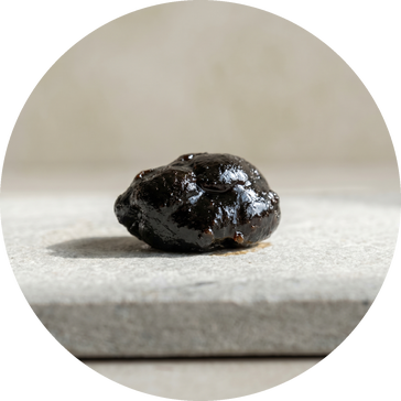 Himalayan Shilajit