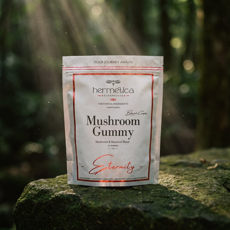 Eternity Mushroom Gummies pouch on moss-green stone with soft drifting light