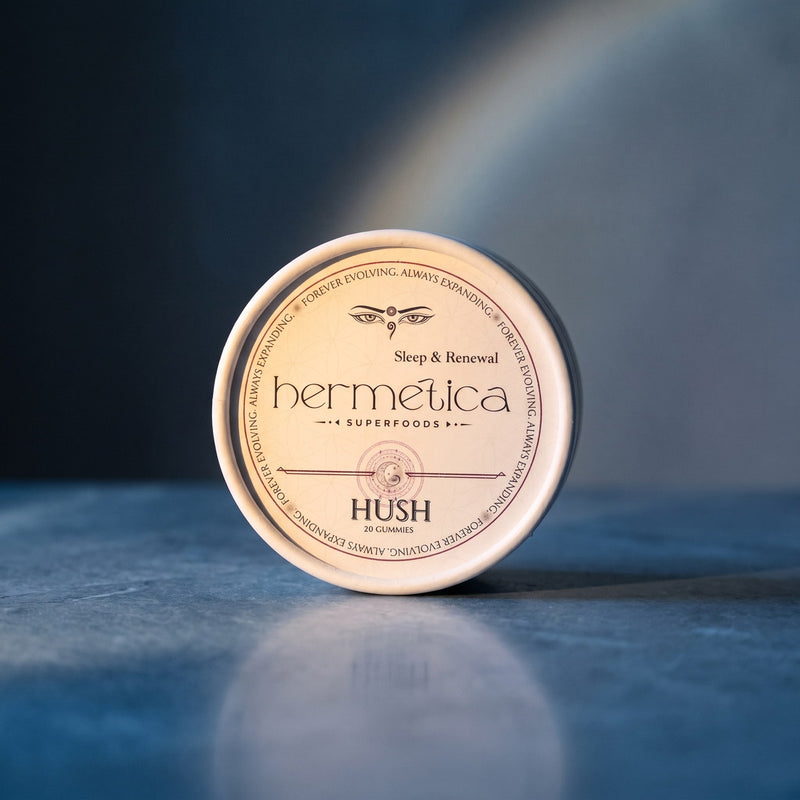 Hush Sleep Gummies tin on slate-blue stone in soft moonlit tones