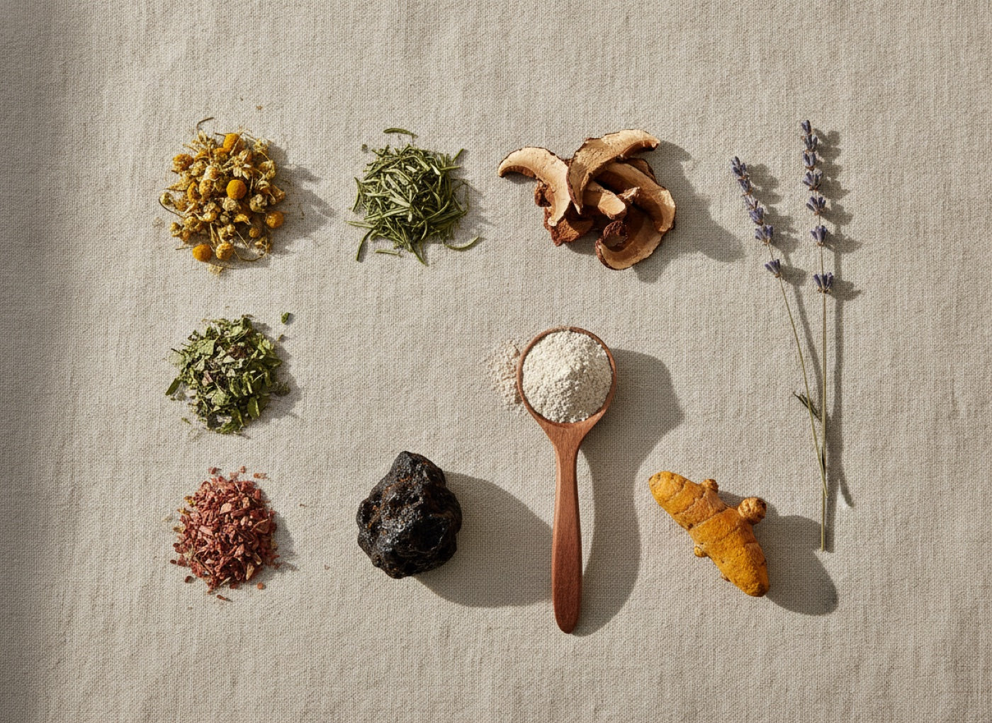Premium botanical ingredients selected for Hermetica formulas