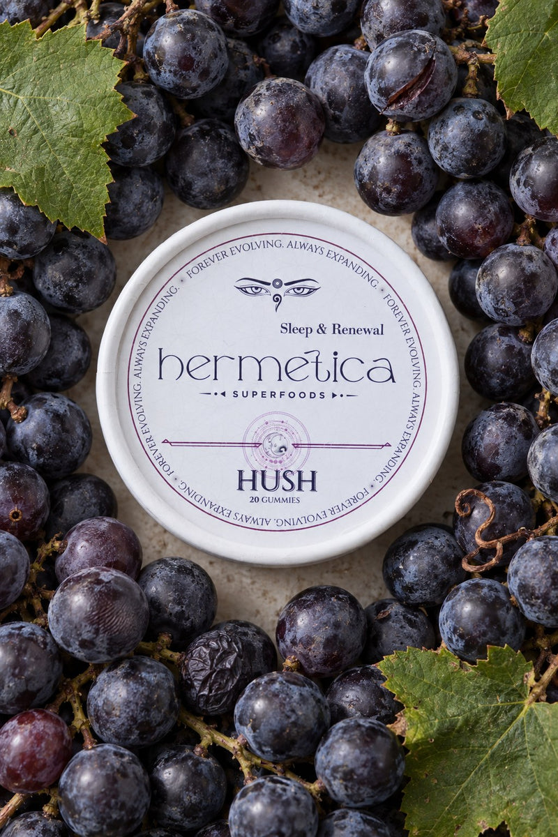 Hush tin seen from above, surrounded by Concord grapes and grape leaves