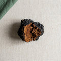 Chaga Mushroom Extract