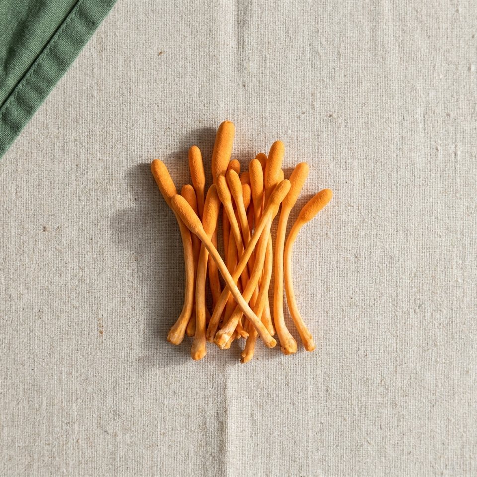 Cordyceps fruiting bodies