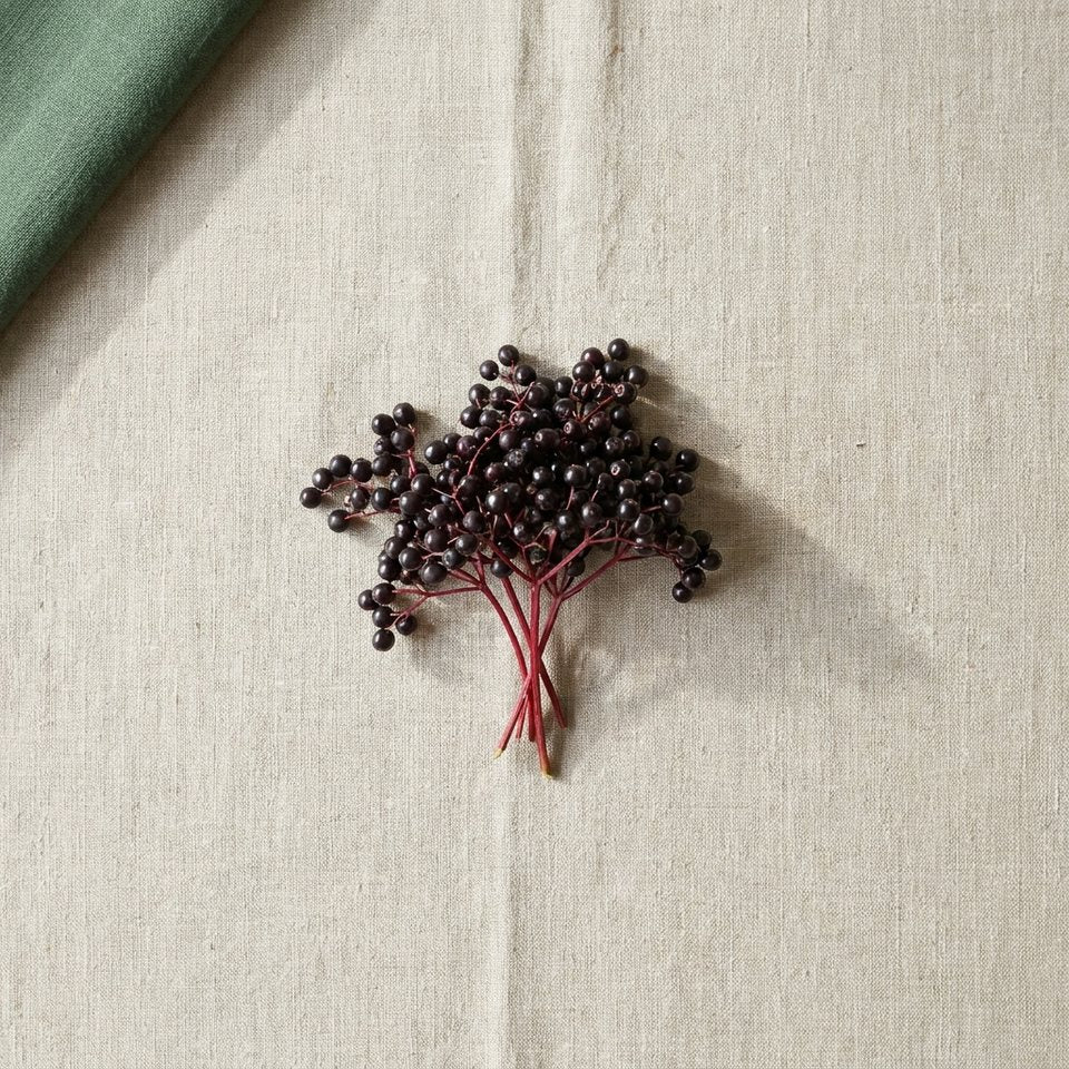 A cluster of elderberries