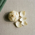 Lily Extract