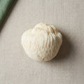 Lion's Mane Mushroom Extract