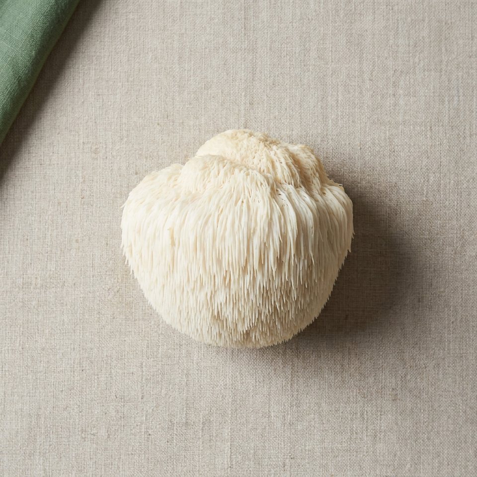 A lion's mane mushroom
