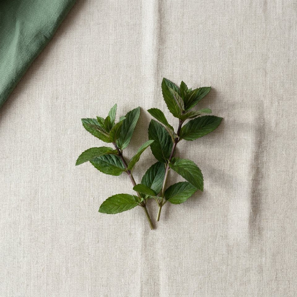 Fresh peppermint sprigs