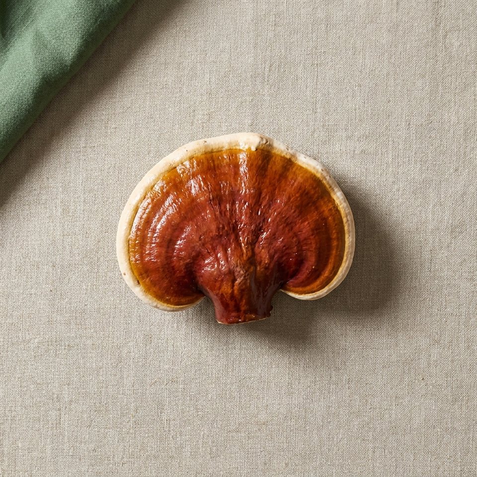A whole reishi mushroom