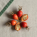 Rosehip Extract