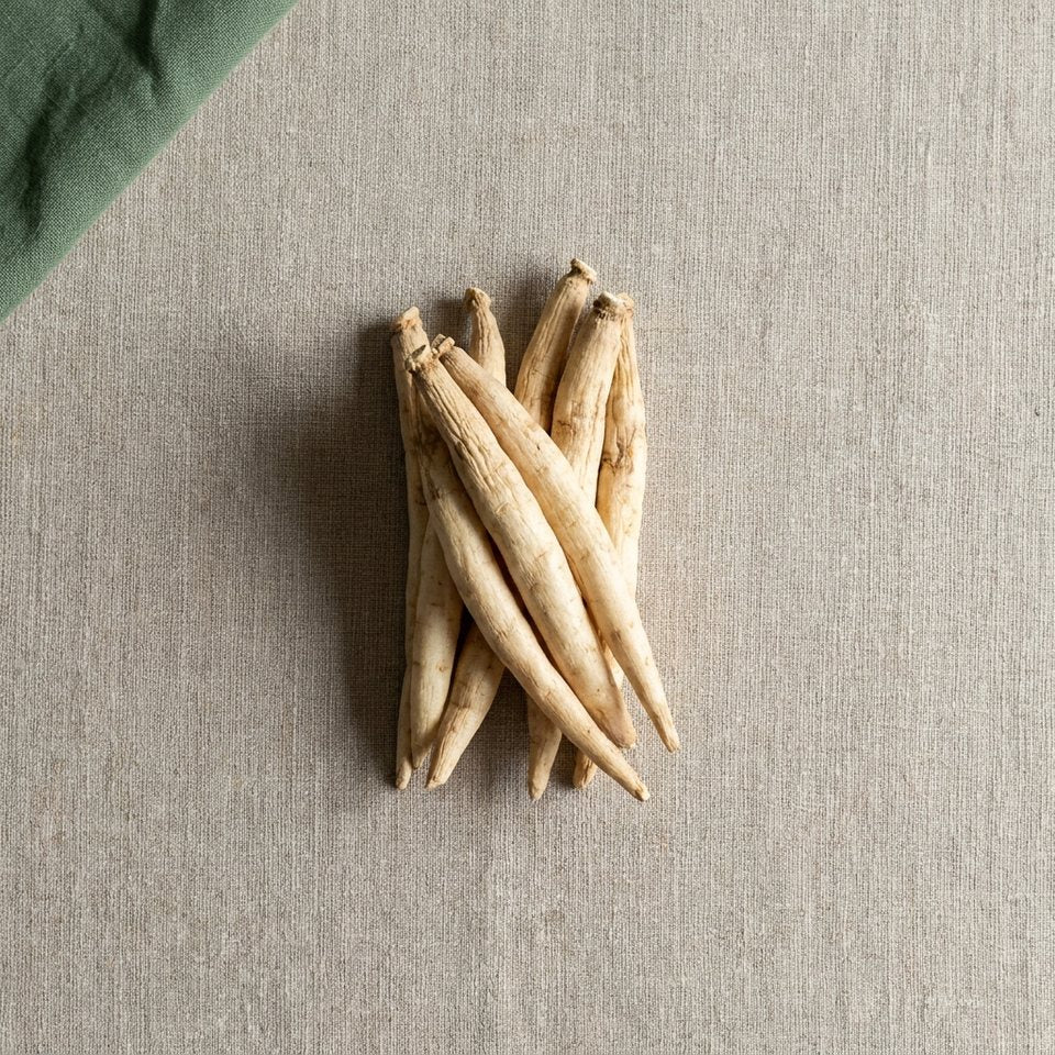Dried shatavari roots