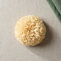 Tremella Mushroom Extract