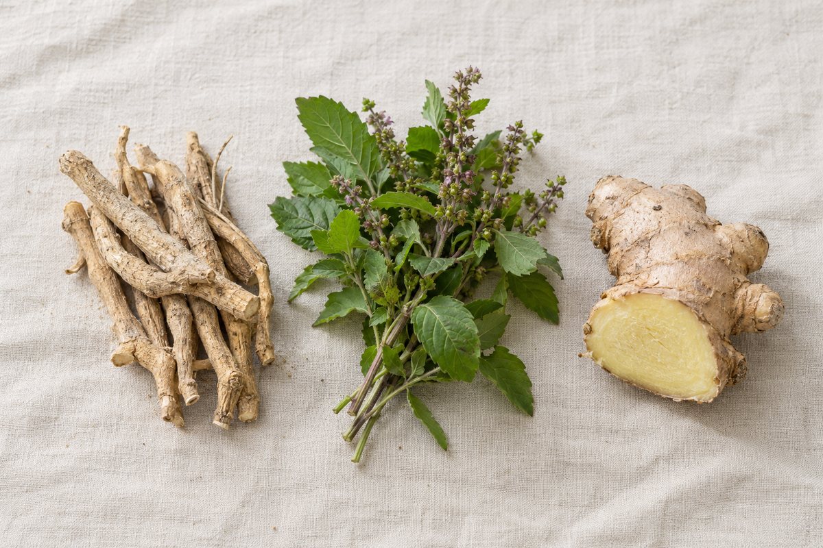 Adaptogen Drinks