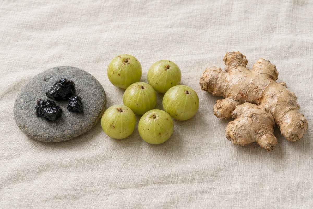 Shilajit Benefits for Men: What Clinical Trials Show About Testosterone, Fertility, and Performance