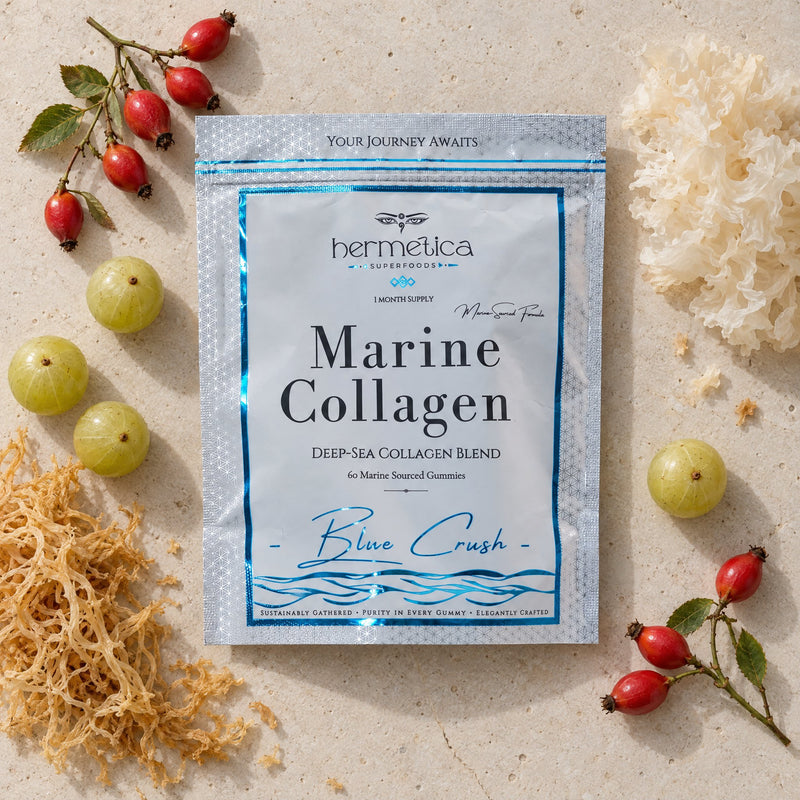 Blue Crush pouch seen from above on pale stone with rosehips, amla berries, sea moss and tremella