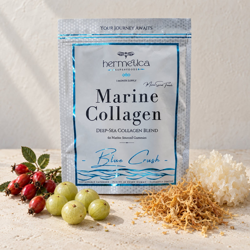 Blue Crush pouch on pale stone with rosehips, amla berries, sea moss and tremella