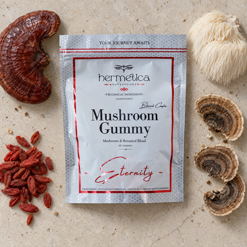 Eternity pouch seen from above on pale stone with reishi, lion's mane, turkey tail and goji berries