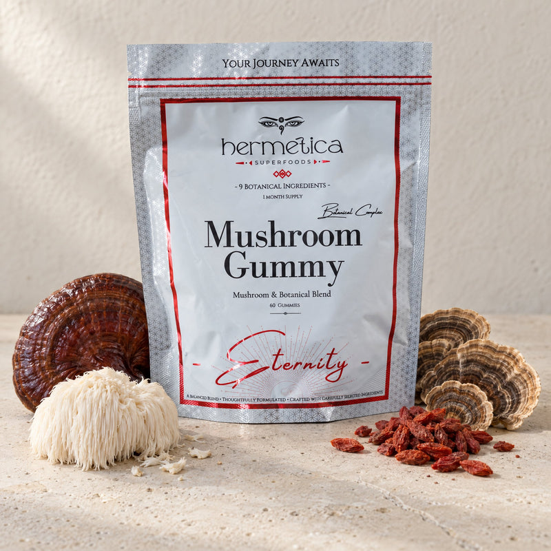Eternity pouch on pale stone with reishi, lion's mane, turkey tail and goji berries