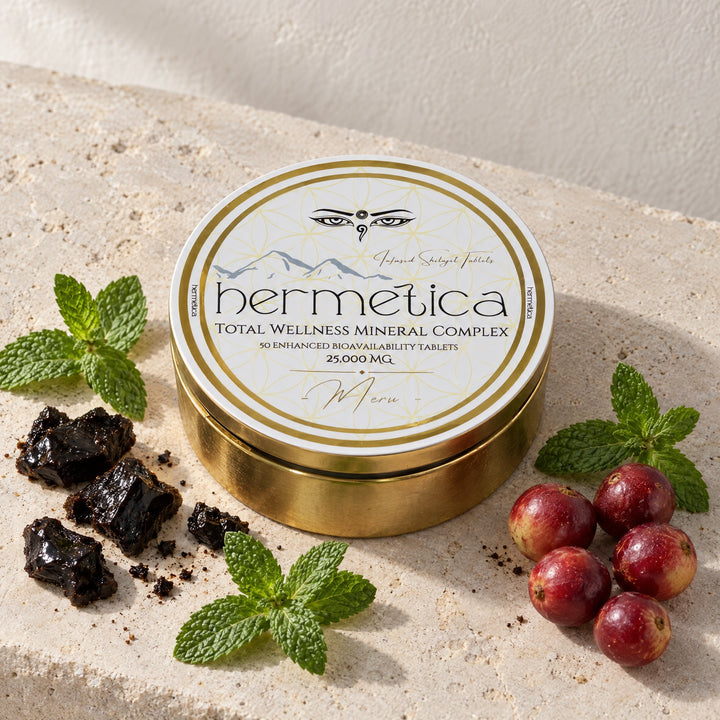 Meru Shilajit Tablets gold compact on pale stone with two small black tablets beside it
